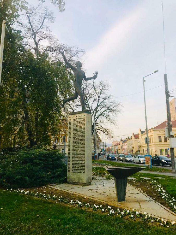 Apartment Pri Radnici